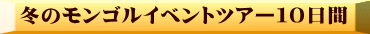 冬のモンゴルイベントツアー１０日間 