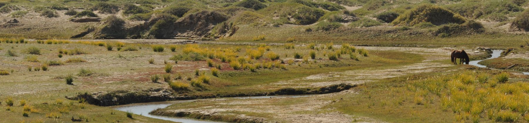 Gobi Desert Scenery