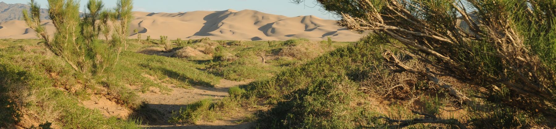 Gobi Desert Scenery
